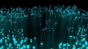 fibre